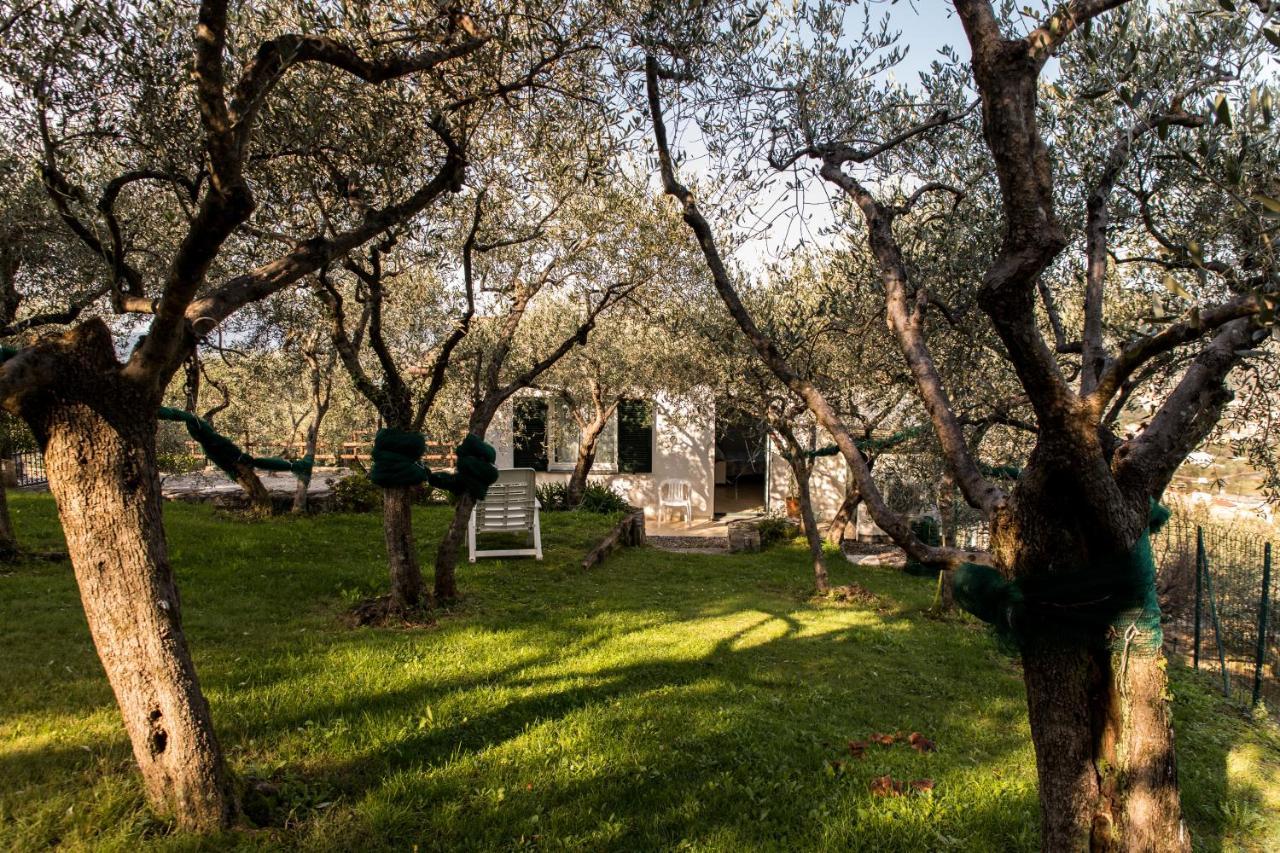 Agri Bed - L'Affittacamere In Collina - Guest Room On The Hill Lavagna Eksteriør bilde