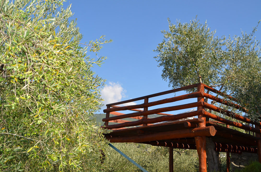 Agri Bed - L'Affittacamere In Collina - Guest Room On The Hill Lavagna Eksteriør bilde