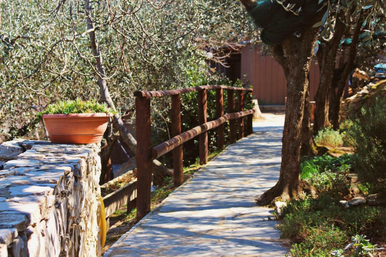 Agri Bed - L'Affittacamere In Collina - Guest Room On The Hill Lavagna Eksteriør bilde